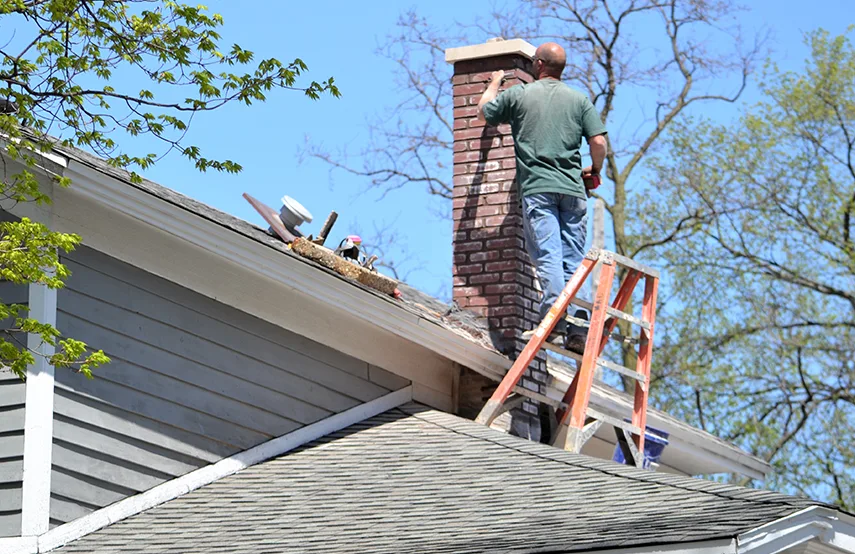 Chimney & Fireplace Inspections Services in Pine Hills, FL